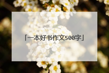 一本好书作文500字