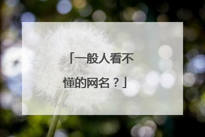 一般人看不懂的网名?