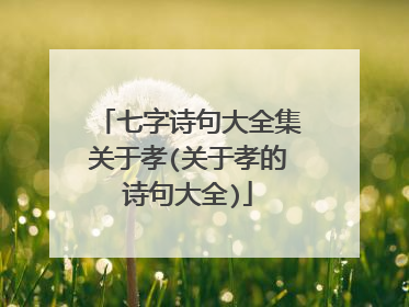 七字诗句大全集关于孝(关于孝的诗句大全)