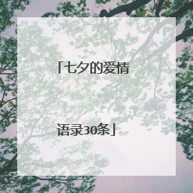 七夕的爱情语录30条