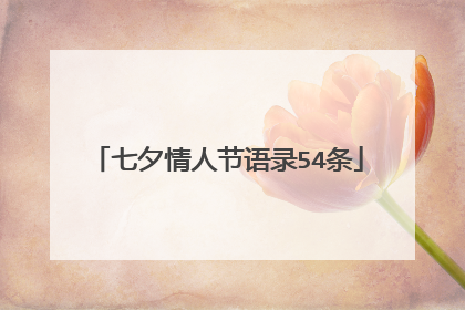 七夕情人节语录54条