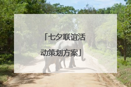 七夕联谊活动策划方案