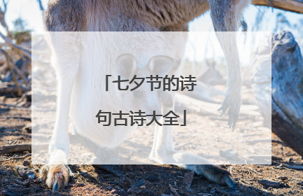 七夕节的诗句古诗大全