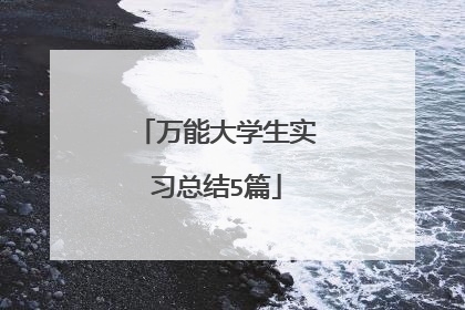 万能大学生实习总结5篇