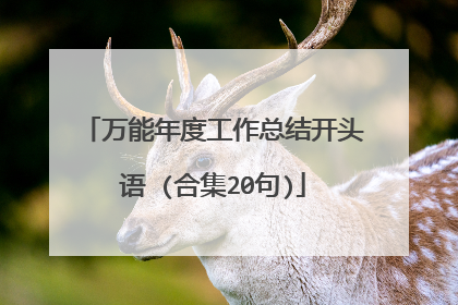 万能年度工作总结开头语 (合集20句)