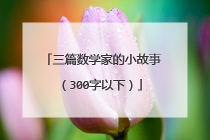 三篇数学家的小故事(300字以下)