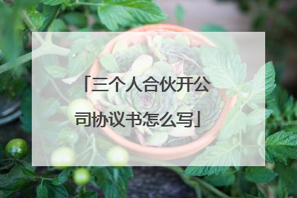 三个人合伙开公司协议书怎么写