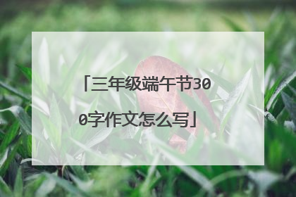 三年级端午节300字作文怎么写