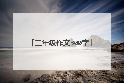 三年级作文300字