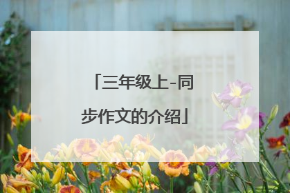 三年级上-同步作文的介绍