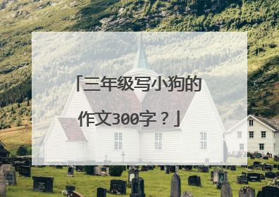 三年级写小狗的作文300字？