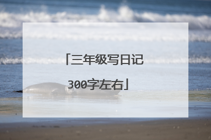 三年级写日记300字左右