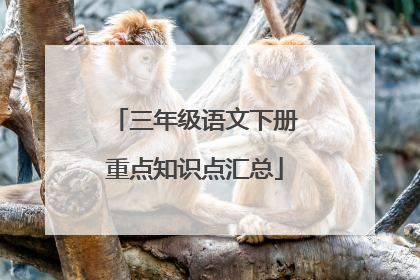 三年级语文下册重点知识点汇总