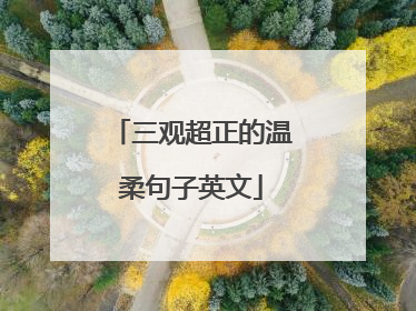 三观超正的温柔句子英文