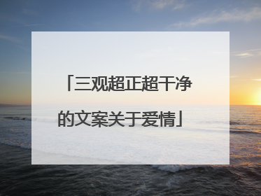 三观超正超干净的文案关于爱情