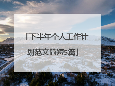 下半年个人工作计划范文简短5篇