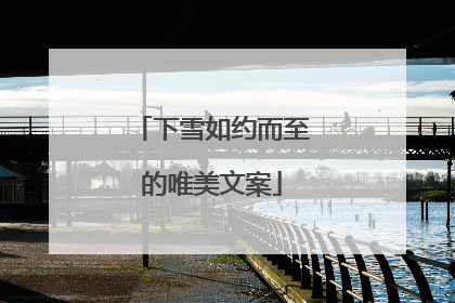 下雪如约而至的唯美文案