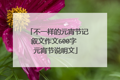 不一样的元宵节记叙文作文600字 元宵节说明文