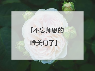 不忘师恩的唯美句子