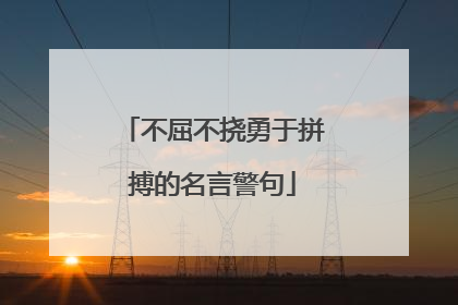 不屈不挠勇于拼搏的名言警句
