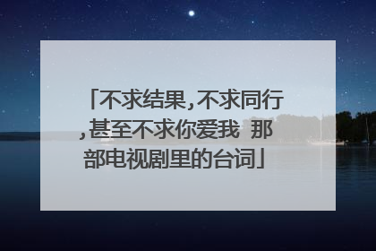 不求结果,不求同行,甚至不求你爱我 那部电视剧里的台词