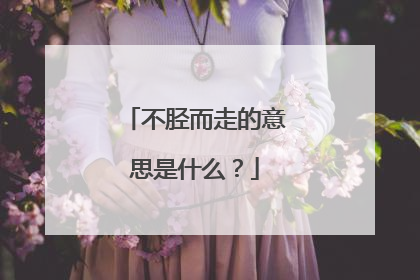 不胫而走的意思是什么？