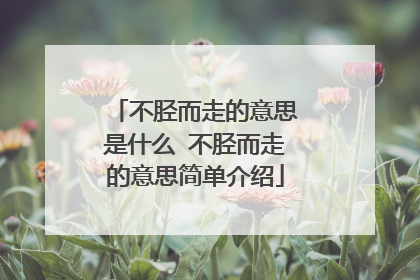 不胫而走的意思是什么 不胫而走的意思简单介绍