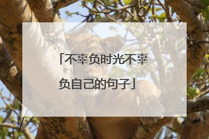 不辜负时光不辜负自己的句子