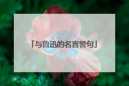 与鲁迅的名言警句