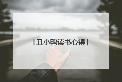 丑小鸭读书心得