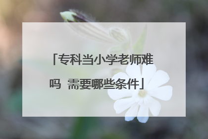 专科当小学老师难吗 需要哪些条件