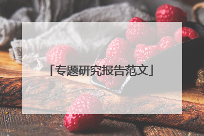 专题研究报告范文