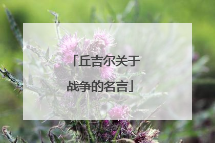 丘吉尔关于战争的名言