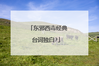 东邪西毒经典台词独白?