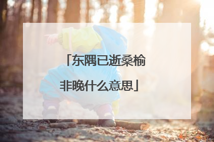 东隅已逝桑榆非晚什么意思