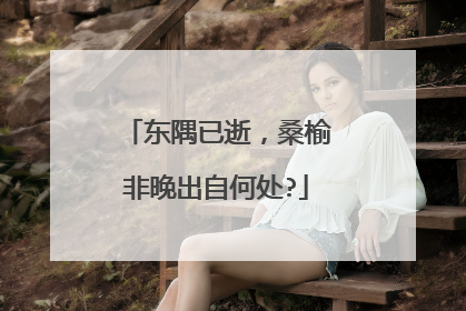东隅已逝，桑榆非晚出自何处?