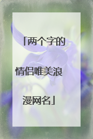 两个字的情侣唯美浪漫网名