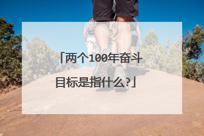 两个100年奋斗目标是指什么?