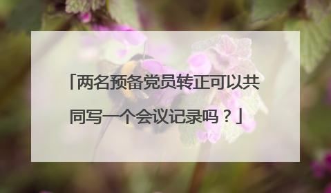 两名预备党员转正可以共同写一个会议记录吗?