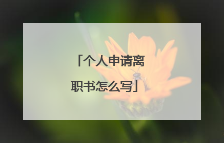 个人申请离职书怎么写