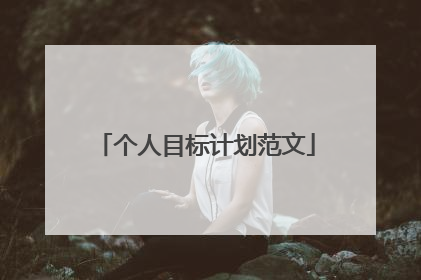 个人目标计划范文