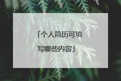 个人简历可填写哪些内容