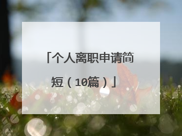个人离职申请简短（10篇）