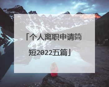 个人离职申请简短2022五篇