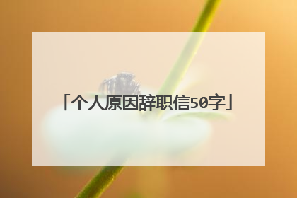 个人原因辞职信50字