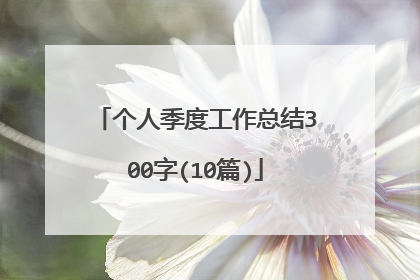 个人季度工作总结300字(10篇)