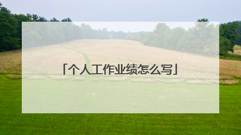 个人工作业绩怎么写