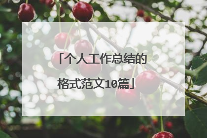 个人工作总结的格式范文10篇