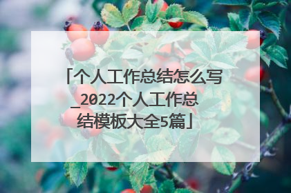 个人工作总结怎么写_2022个人工作总结模板大全5篇