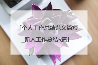 个人工作总结范文简短_新人工作总结5篇